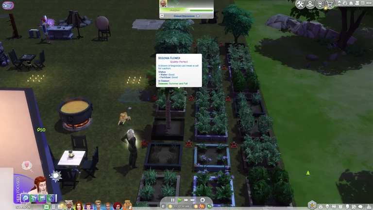 A Sims 4 begonia tooltip showing quality, water, fertilizer, and season labels beside the visible plant